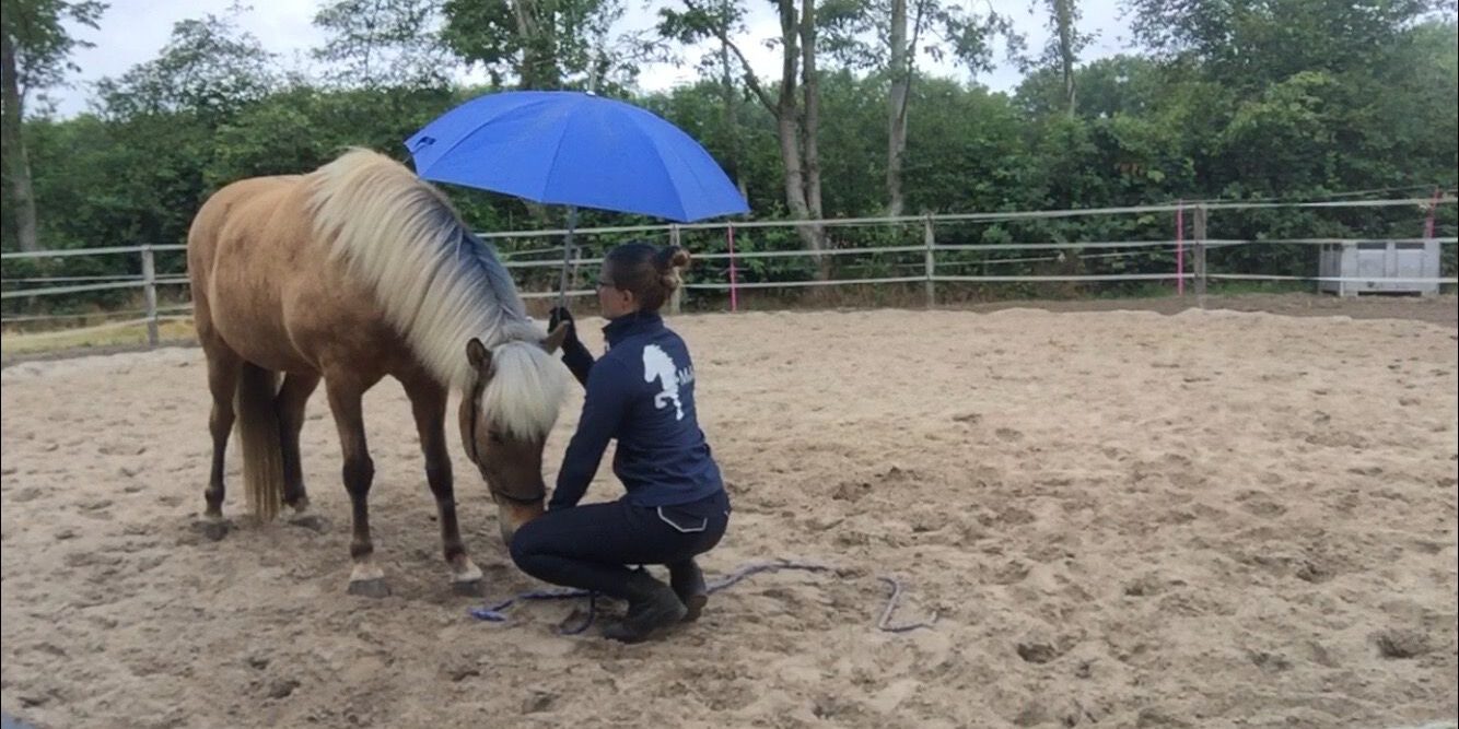 Foto Schrikken mag, nieuwsgierig zijn is beter (1)