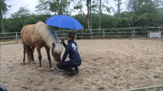 Foto Schrikken mag, nieuwsgierig zijn is beter (1)