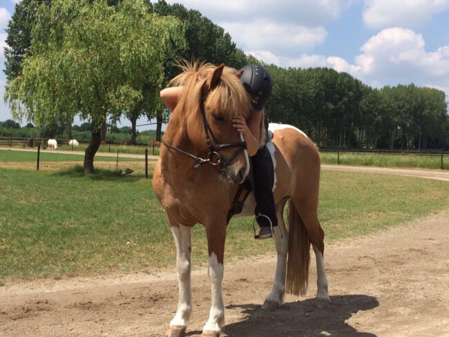 Foto positief trainen